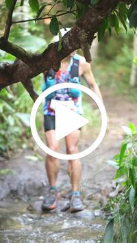 BIB:  <button type="button" onclick="openModal(27573364)" class="btn btn-primary btn-sm float-right" data-toggle="modal" data-target=".modal-high-quality">
                <i class="fa fa-download"></i> Download
                </button>